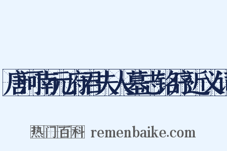 唐河南元府君夫人墓志铭序近义词是什么意思的图片
